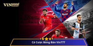 Cá Cược Bóng Bàn