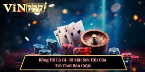 Rồng Hổ Là Gì